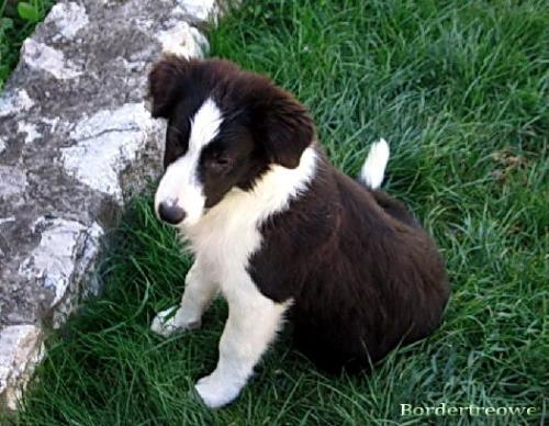 7454695 f8c88965807369948efde9203297d23f m