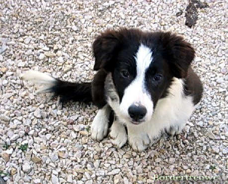 7454697 c07bffdcbf1900f6feead3394eca0410 m