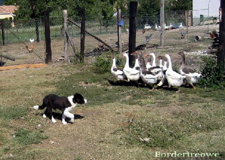 7454701 c3b84aceaf9fb412322b67272d519433 m