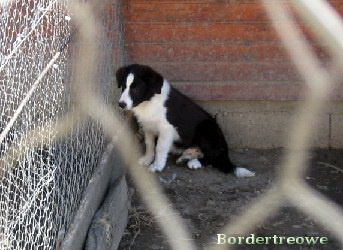 7454703 7cf6480785c5c019ecb76c0cb611b6e4 m