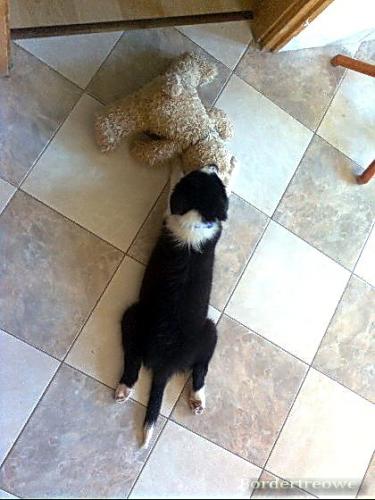 7454705 34c751c6abd8a0d0c7d14ef375cbffbb m