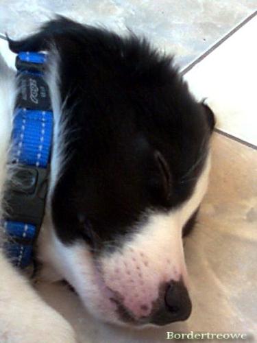 7454707 65cfd16c3604d19bfe46ce90e37900ff m