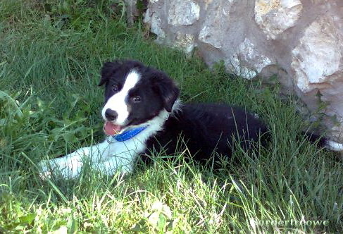 7454715 fc2431cfd2a3060c3d3af1b41abeb5a8 m