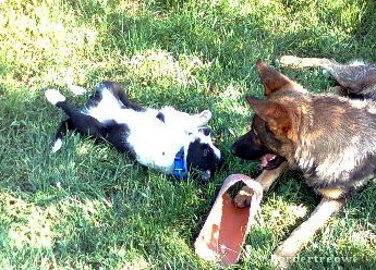 7454717 e34c651f9fc58921811276c4e94501ee m