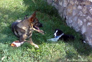 7454721 f4b25216ab9334adbc6496f2f8583e5e m