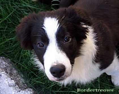 7454725 1e13d9a03a7d99fb389ec974132ee471 m