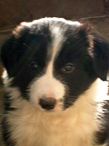 12385567 701e0bae5556530786a3e3b2b3a32eb2 xl