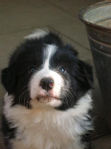 12385573 765edb5485abfbe04f042df9f0f5731e xl