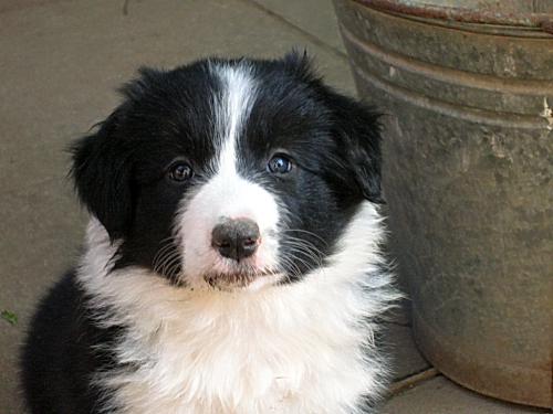 12385577 605cdb8234779e32c6ddae195495f31c xl