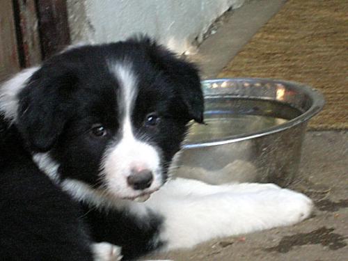 12385579 307494cae4953ebf1e4c5c06e75af78c xl