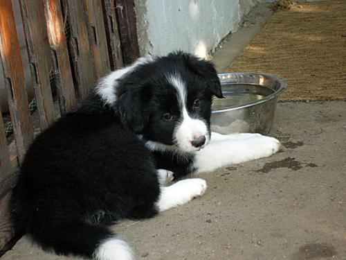 12385581 b54a5f28062cd4d4d32aec573577f17c xl