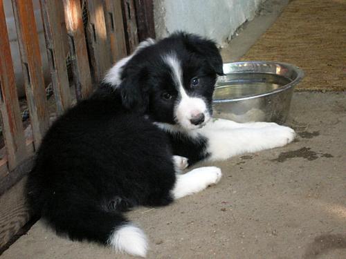 12385585 087b29f589a0eec87fc516c3d22a8b46 xl