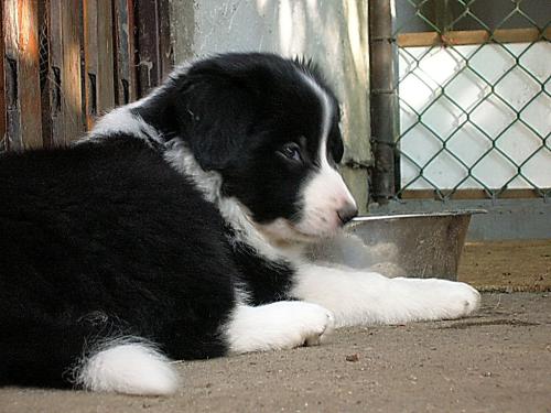 12385589 58dc1f1c7772d0e1f5d46fe3949ce7c8 xl