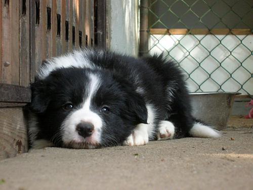 12385591 d99b065568ad438e948feb9371f46800 xl