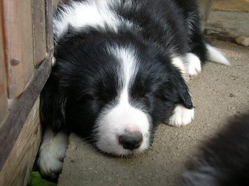 12385593 08808a115ad87a7a7eb6ed20292288c8 xl