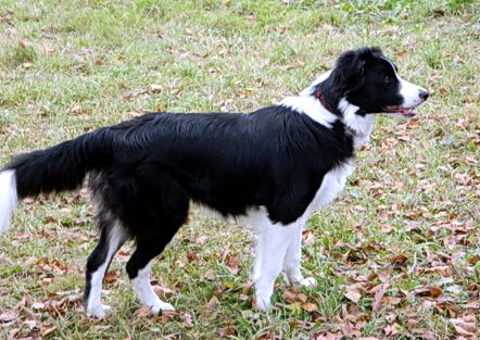 14039327 8fdc3369ed0b3236b06e0cea0f4b496b m