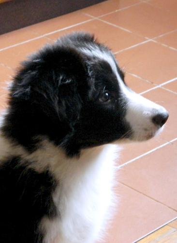 14081737 8627a518eadfe10b9ac3bfa570089884 xl