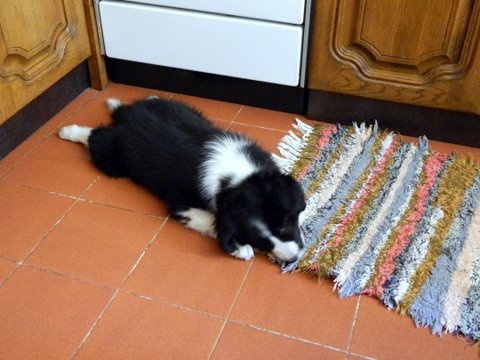 14081739 3e38bf619cba3d520ad19ac3c39804f4 m