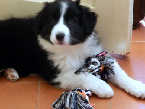 14081741 9460a0a29ed44f5353f3cc80bf2cfdd0 m