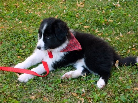 14081743 2eba0cb96348a3412f2353873793a03e m