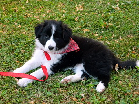 14081747 40265d0bc65e1c6618a4b0951c7eec04 m