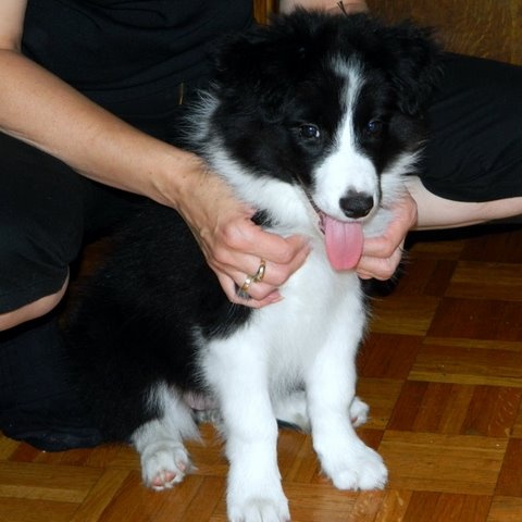 14081749 63f3ebc72c6e98153f7b2f0473bcc532 m