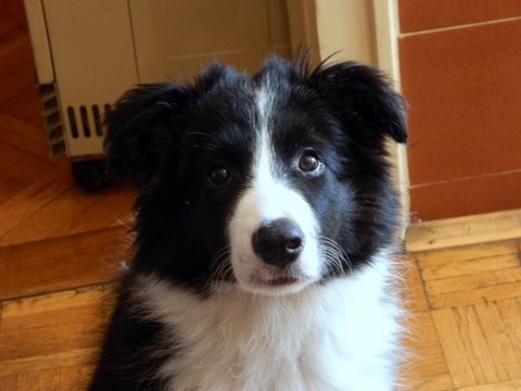 14081751 4d44aaa4aee063a9e15765f5f0e0b86e m