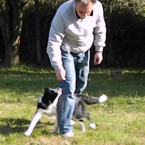 14081755 766be711c13670922993f8d2530e1612 m