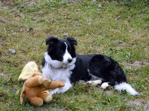 14081757 6b31a60da14d55c672b8aa51549a3090 m