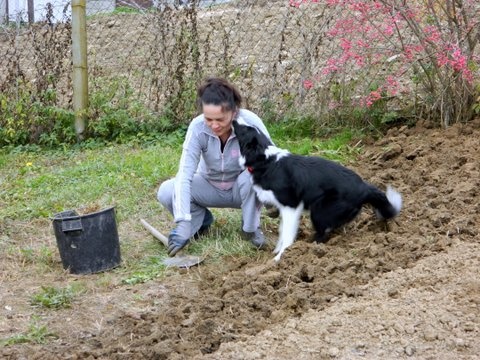 14081759 0bc06416e4a238015567db3e09b9f868 m