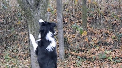 14081761 e178be4753ce24d02536025801c7f4a1 m