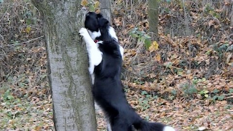 14081763 55f5aa3e5f5a13d0034360aab74b1628 m