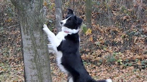 14081767 5566b90e55b2239abcd98e7d18989f55 m