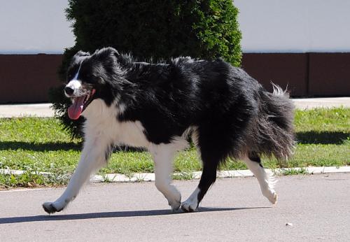 19623191 3d2be5c99cb6f377857d149b98ea63fc xl