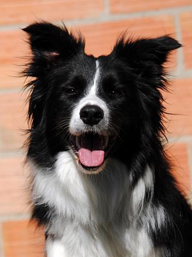 19623193 995ced142ad877226282b9e266ede6ee xl