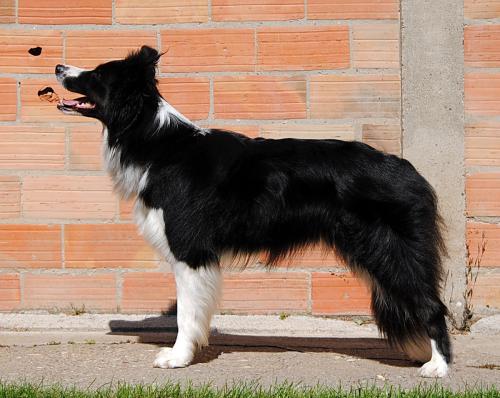 19623195 15f10a24cfcb28ca08c03f44fe4f01d2 xl