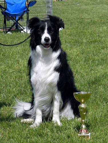 20933391 67b4599681554fb5d5e389780b3e38bf l