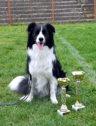 20960801 63eadc1d3a7df4ec9723e09d27fe30e4 m