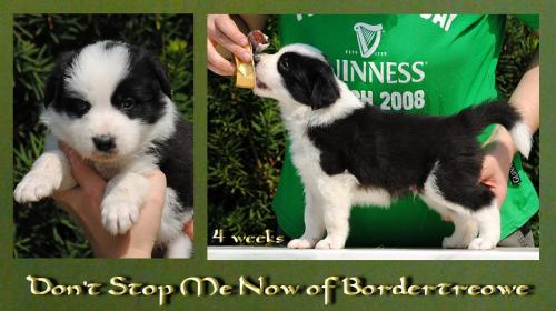 19362259 d172fd81aae85720ba94671cf7a68095 xl