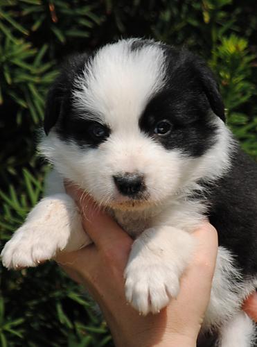 19362263 f3b8fa3099122fcae6e01e21507e1e68 xl