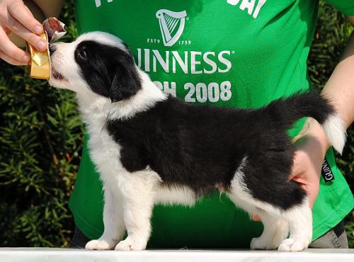 19362267 c27317afd732fab9c45be302109828dc xl