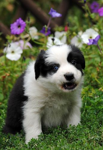 19423367 5780a439c263ac73d6a6c2de3942e38b xl