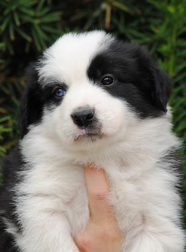 19423369 9b7bd7af434787adde303bd384224ec6 xl