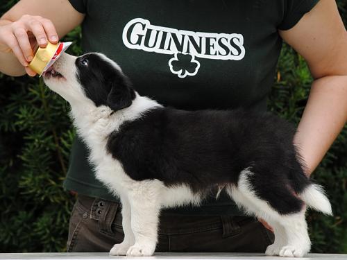 19423371 46f4a3cc3f1e17a37e1af3fab548292e xl