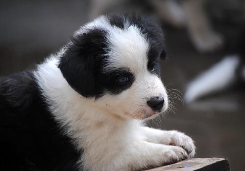 19463981 4b7a83c53460a123224692fbe305929e xl