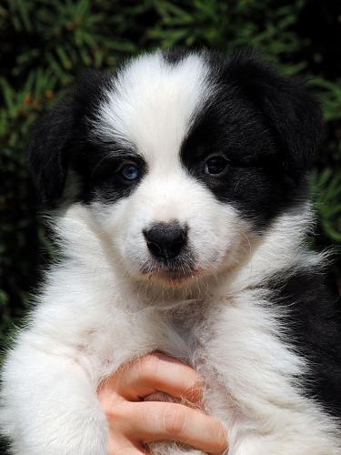 19543963 069808d4d074e6666d36f4b10dbb646a xl