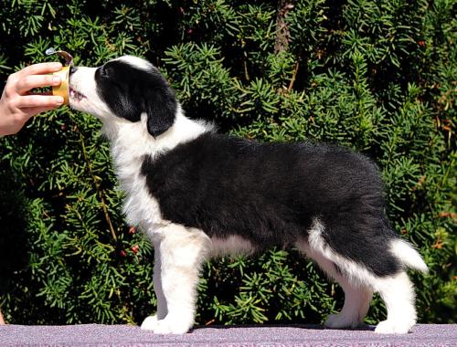 19543969 520b179d1c3d4dd2b996c30488ff2ee0 xl