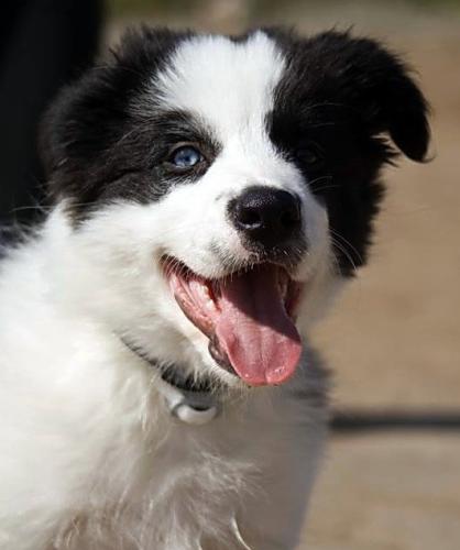 20172883 586d5447515088a0262d6089f7056bbe l