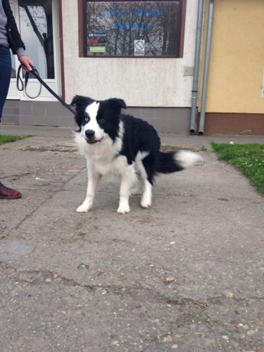 22197163 b9833074bb48eb708490cfed5ff63f86 xl