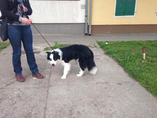 22197165 e11cd987c07e734e40bdfa3128a38980 xl